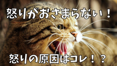 【怒りが収まらない】じつは、怒りの原因は○○の可能性が高い！？